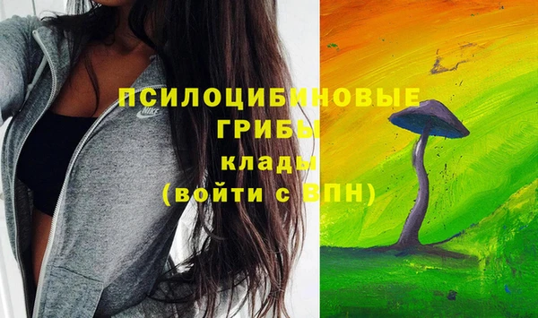 винт Козельск